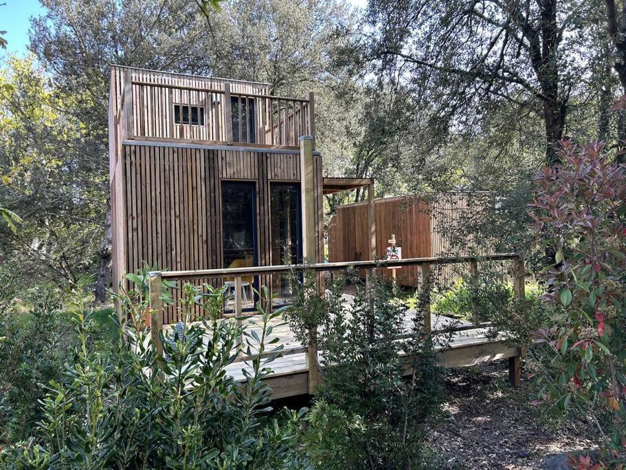 Ma Cabane Sous Les Arbres 滨海苏拉克 外观 照片