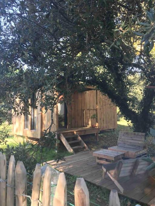 Ma Cabane Sous Les Arbres 滨海苏拉克 外观 照片