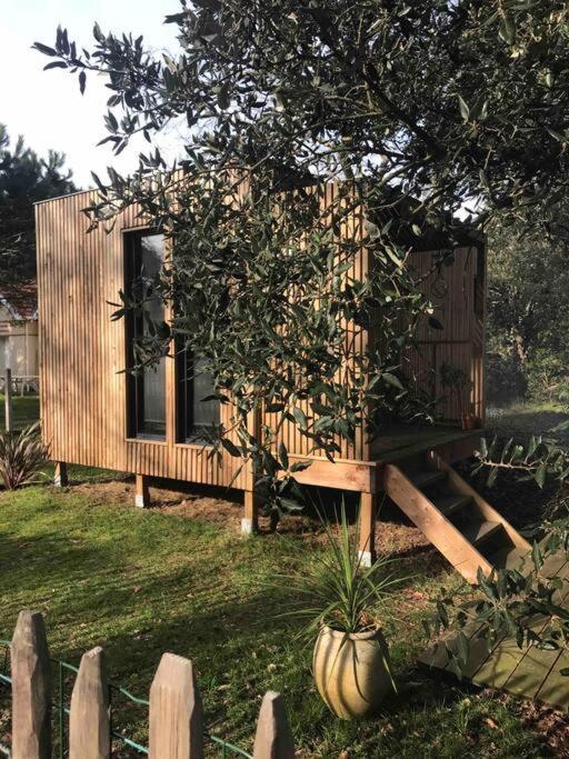 Ma Cabane Sous Les Arbres 滨海苏拉克 外观 照片