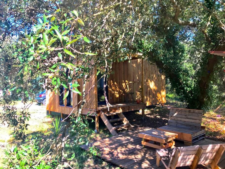 Ma Cabane Sous Les Arbres 滨海苏拉克 外观 照片