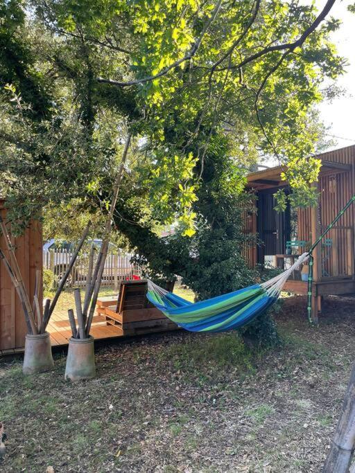 Ma Cabane Sous Les Arbres 滨海苏拉克 外观 照片